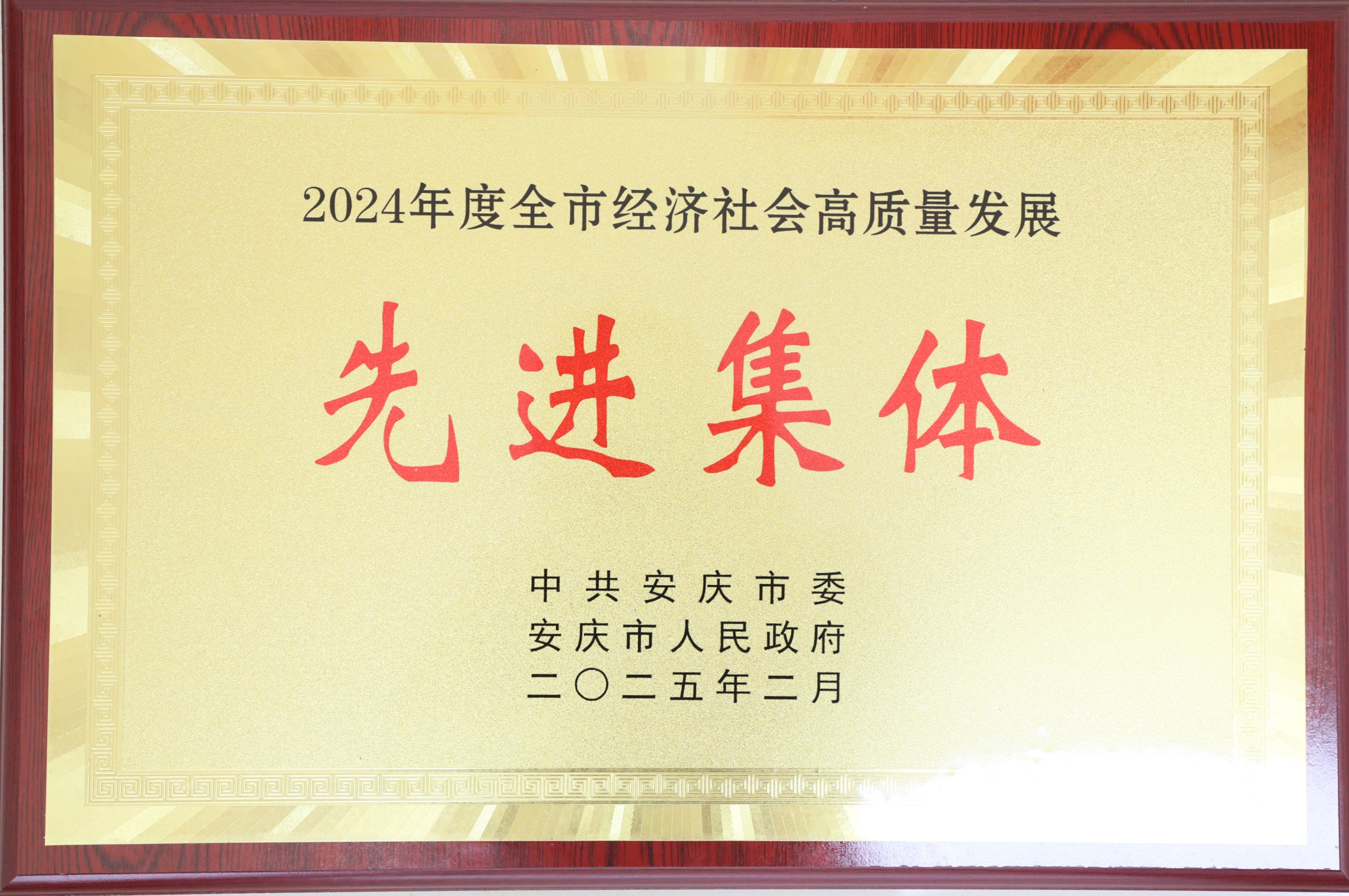 安慶市經(jīng)濟社會高質(zhì)量發(fā)展先進集體.jpg