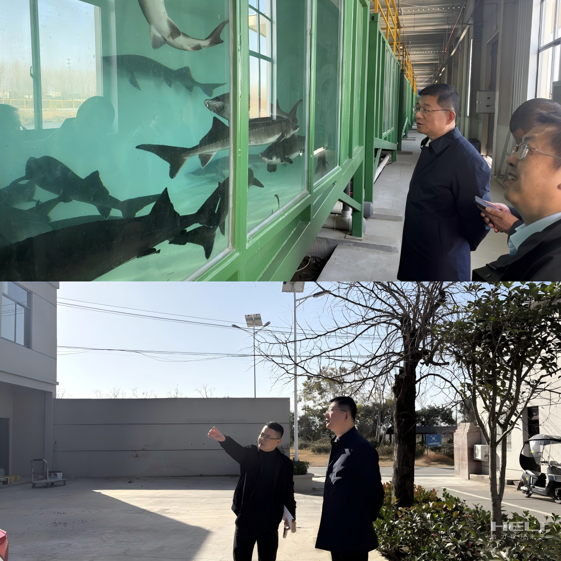 調研“智慧漁場”及社區(qū)集體經濟發(fā)展.png